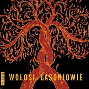 Wołosi i Lasoniowie - WOŁOSI I LASONIOWIE